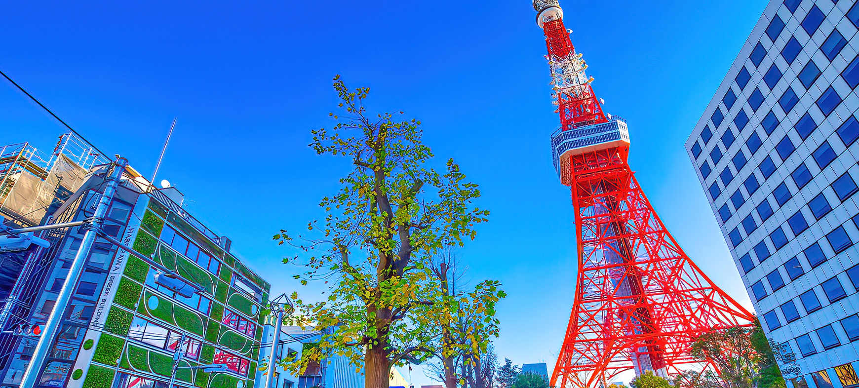 東京都の方におすすめのトロフィーやメダルのご紹介