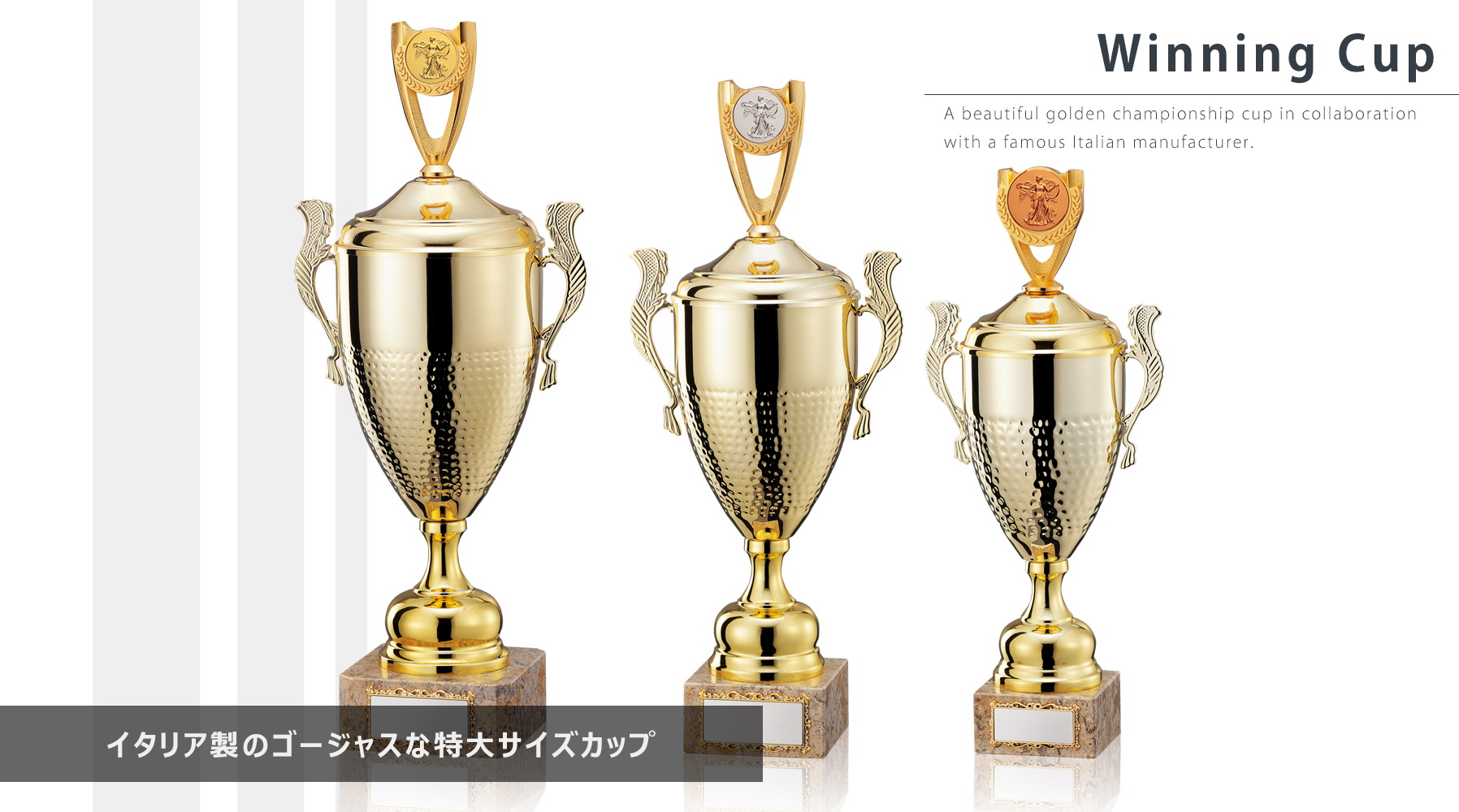 ピックアップ選手権・大会用優勝カップ　JW-C-1181
