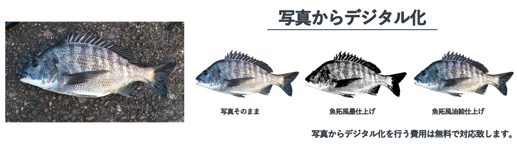 デジタル魚拓楯（盾）