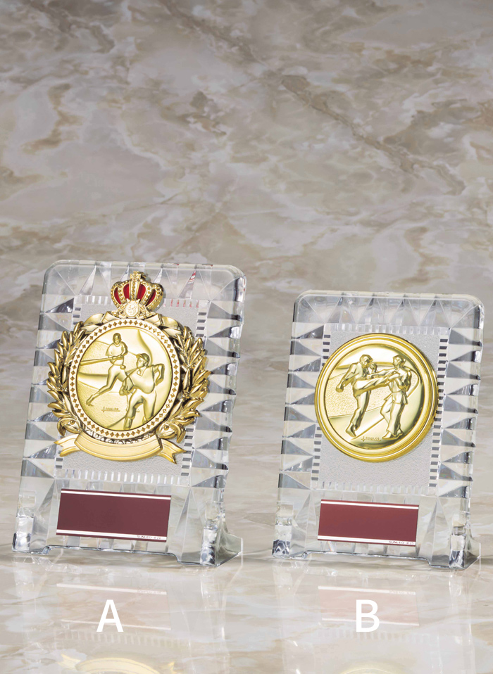 低価格のアクリル製表彰楯 JS-ATZ-4430