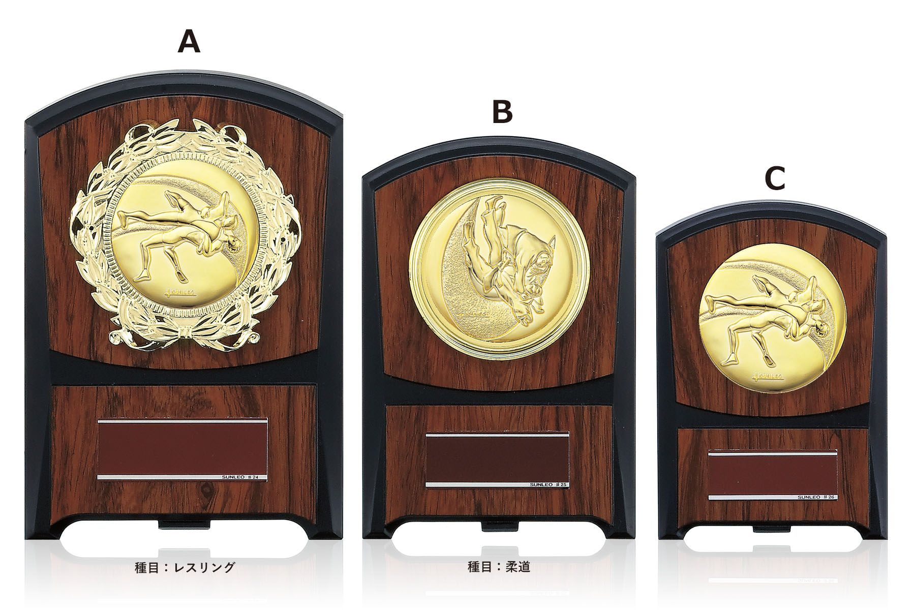 総合格闘技専用の表彰楯 JS-ATZ-4474-martialarts