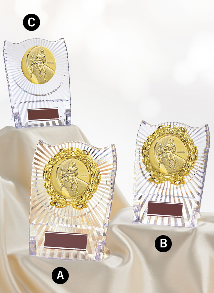 ハンドボール表彰のアクリル製低価格表彰楯 JS-ATZ-4477-ball-other