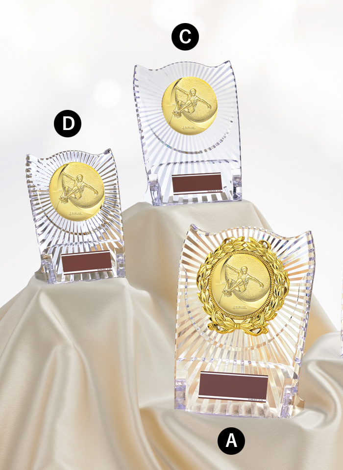 低価格帯で作成できるスケートボード楯 JS-ATZ-4477-skateboard