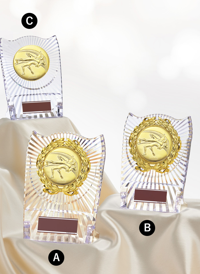 レスリング専用アクリル表彰楯 JS-ATZ-4477-wrestling