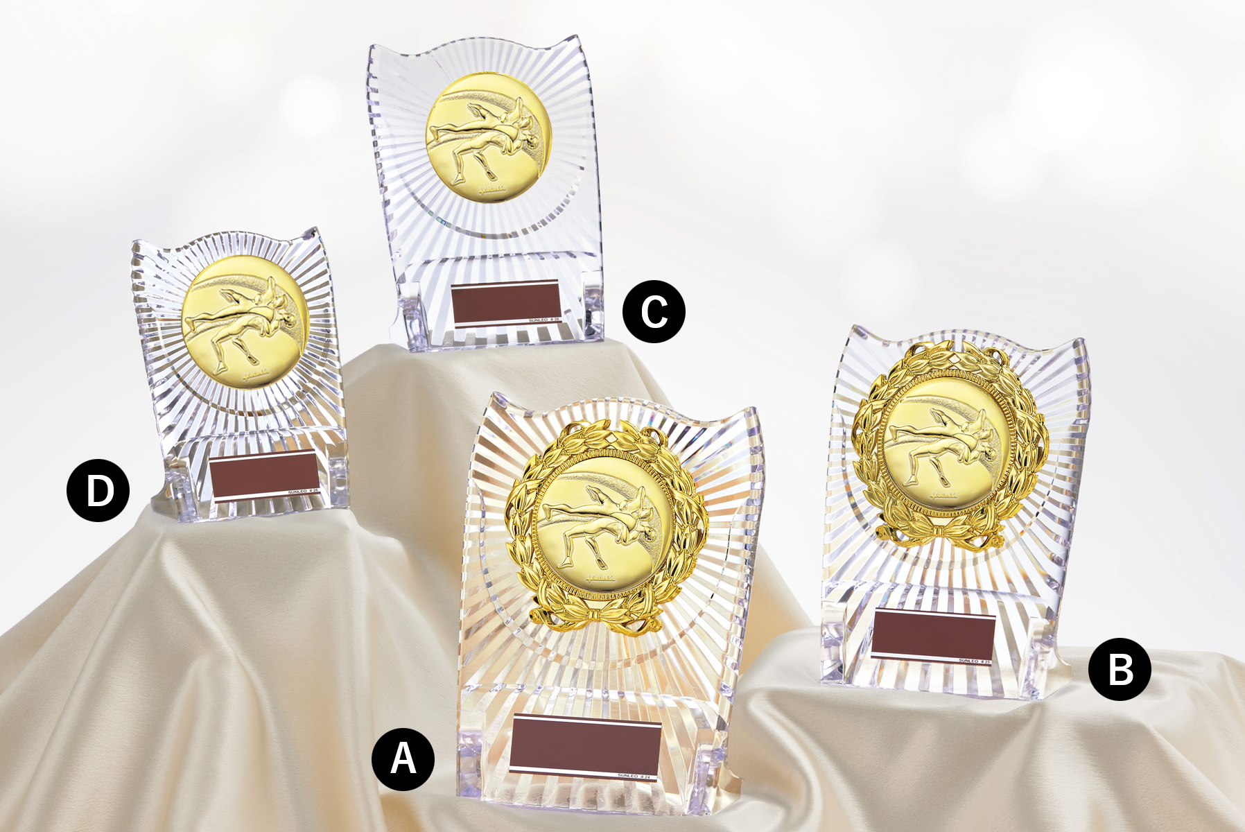 レスリング専用アクリル表彰楯 JS-ATZ-4477-wrestling