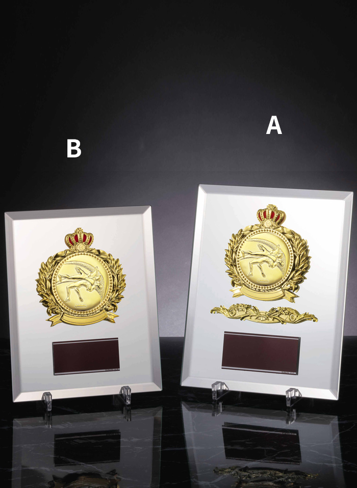 レスリング専用種目取替えミラー製表彰楯 JS-ATZ-4496-wrestling