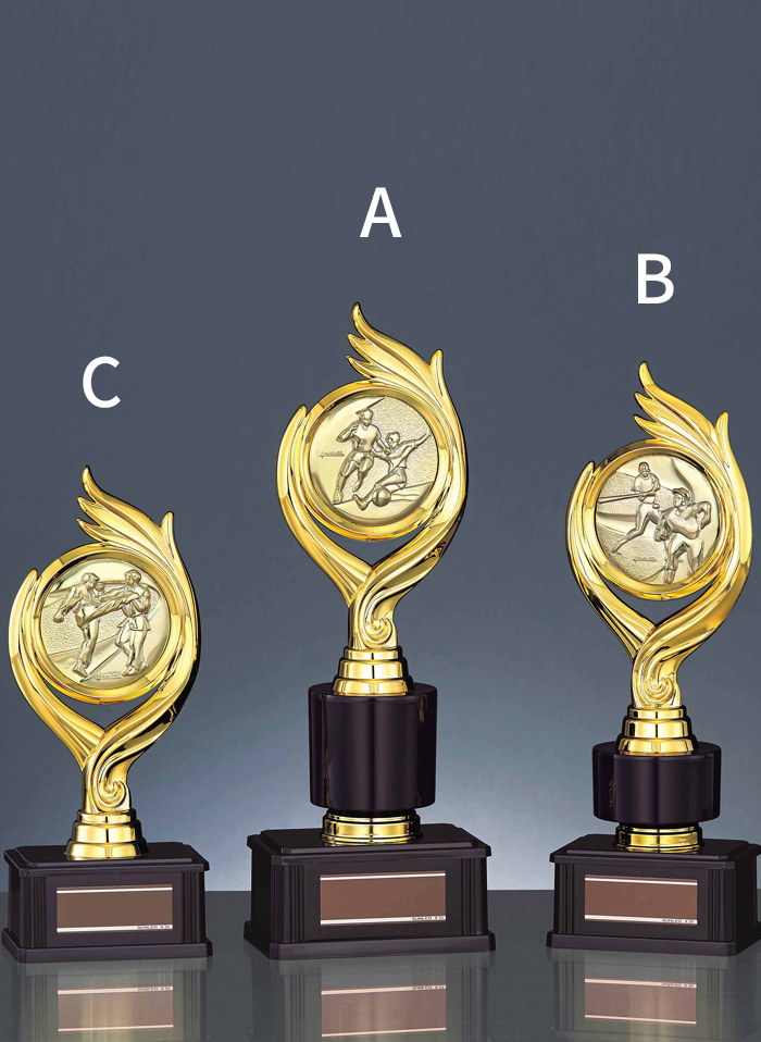 種目取替え低価格トロフィー　JS-BRZ-4606