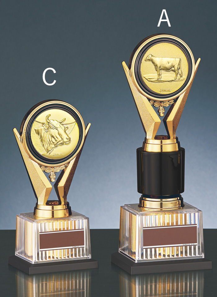 トロフィーの中でも一番人気Aサイズのサイズ感のご紹介 JS-BRZ-4670