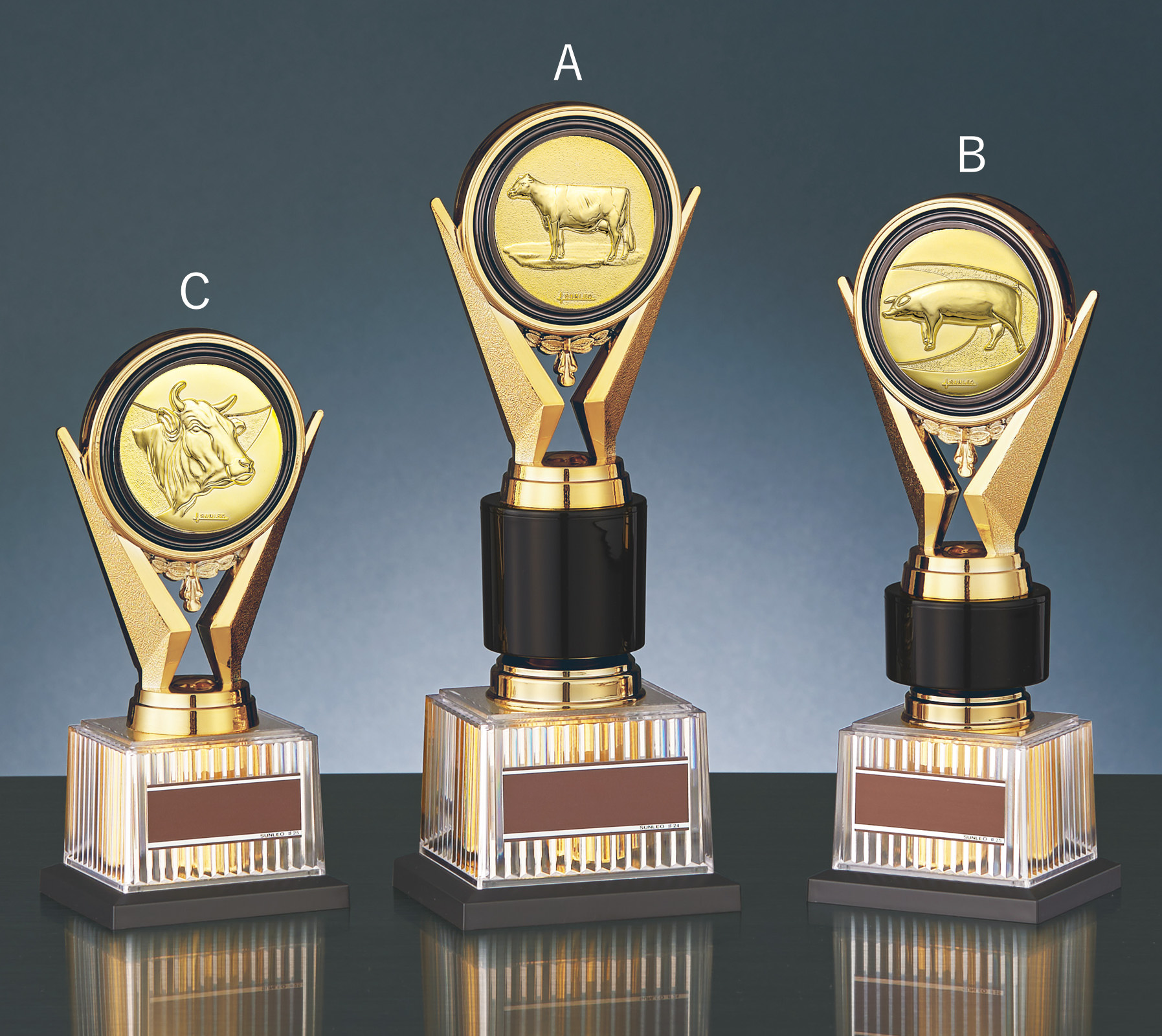 トロフィーの中でも一番人気Aサイズのサイズ感のご紹介 JS-BRZ-4670