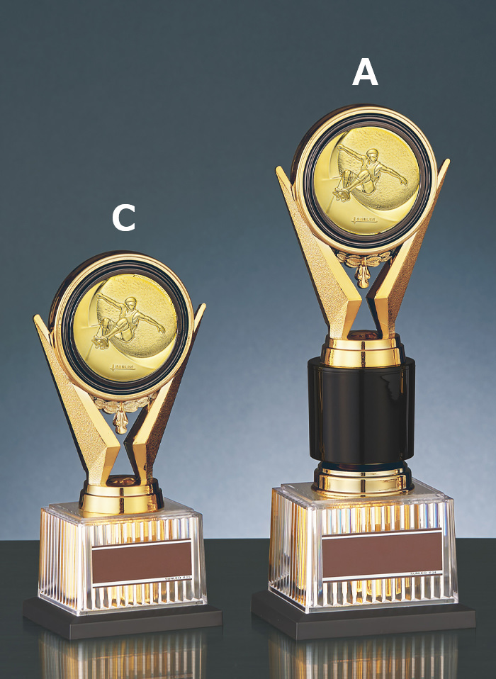 おしゃれなスケートボード専用トロフィー JS-BRZ-4670-skateboard