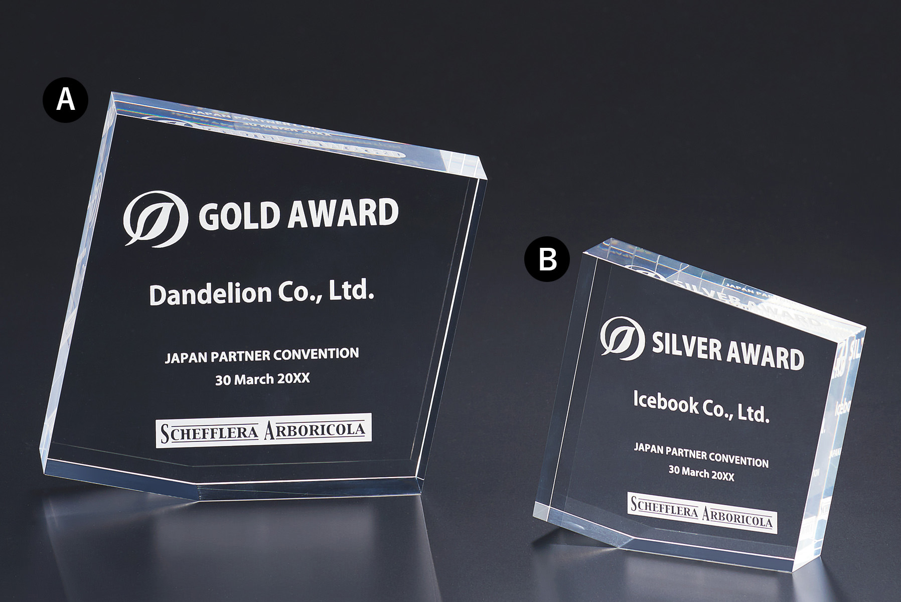 低価格で製作できるオリジナル表彰楯 JS-L10-03