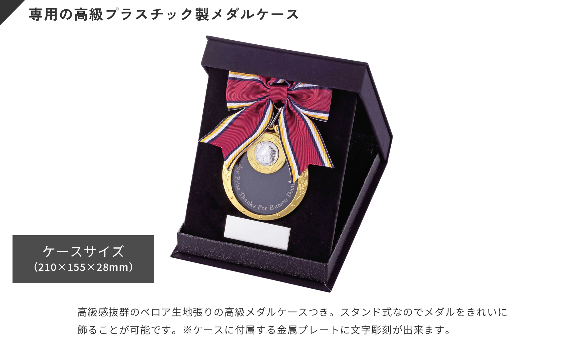 文化科学大臣表彰 記念メダル 文化科学大臣表彰 記念メダルの通販 by ゆうき's shop｜ラクマ