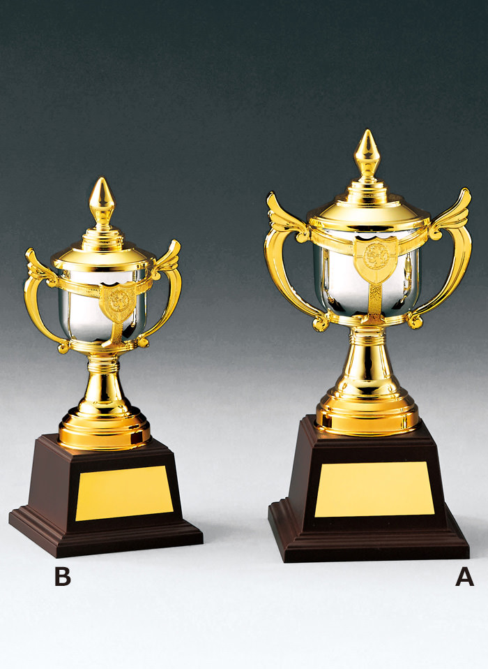 卒業・卒団記念に人気の低価格優勝カップ JS-NO-4761