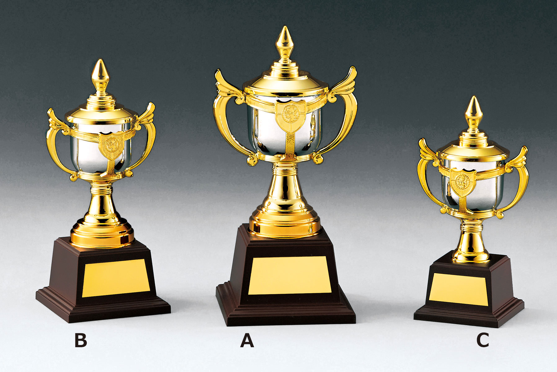 卒業・卒団記念に人気の低価格優勝カップ JS-NO-4761