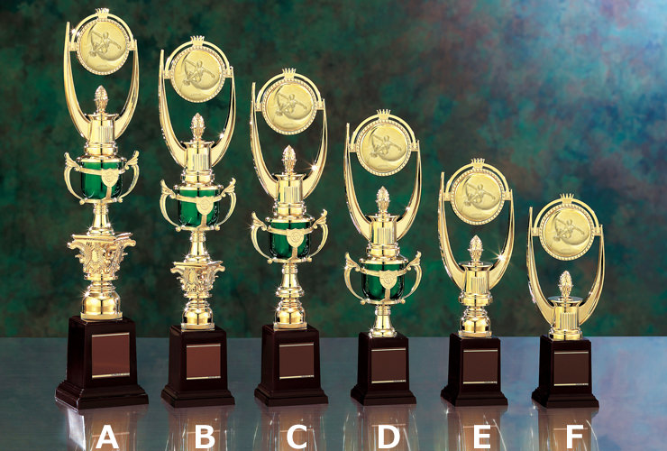 スケートボードデザインの格安トロフィー JS-TRZ-4303-skateboard