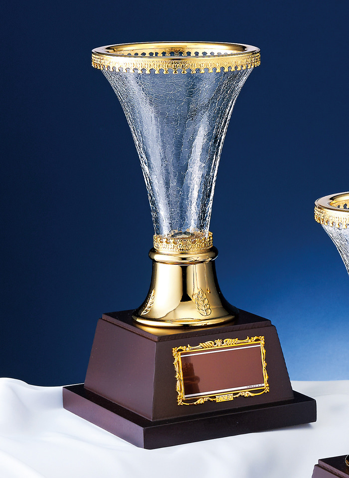 おしゃれなガラス製優勝カップ　JS-YC-4909