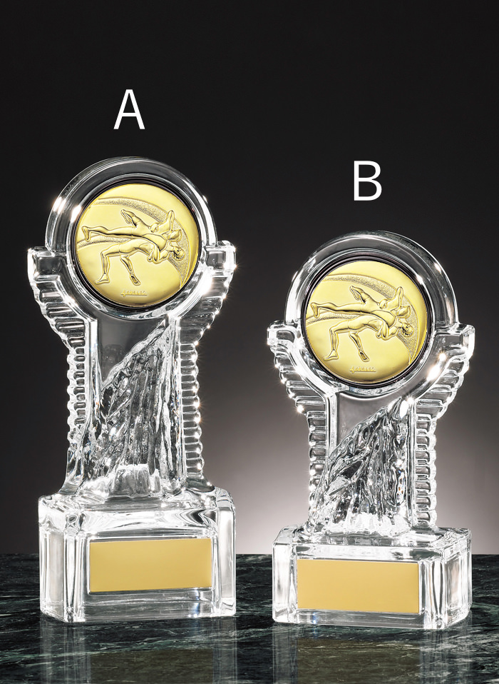 レスリング専用のクリスタルトロフィー JS-YCZ-4939