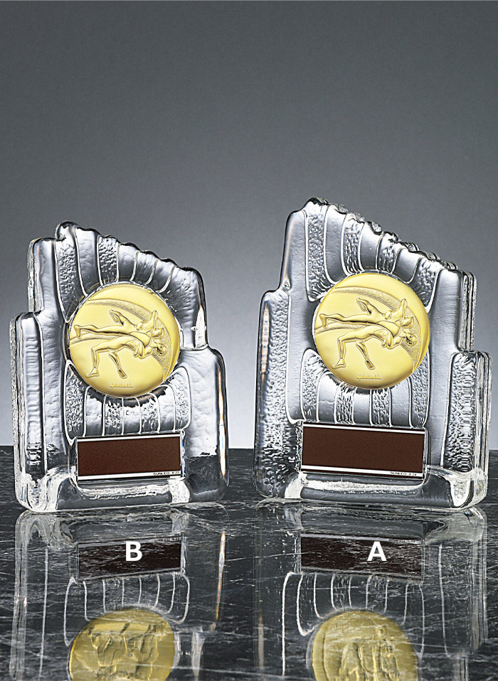 レスリング用クリスタル表彰楯 JS-YCZ-4955-wrestling