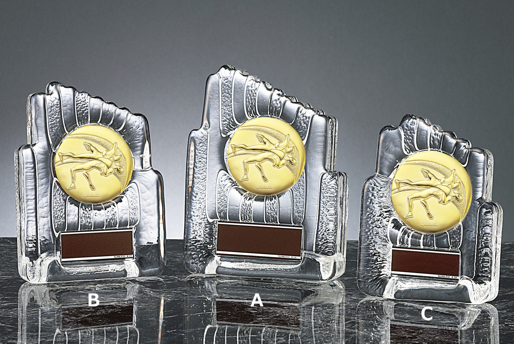 レスリング用クリスタル表彰楯 JS-YCZ-4955-wrestling