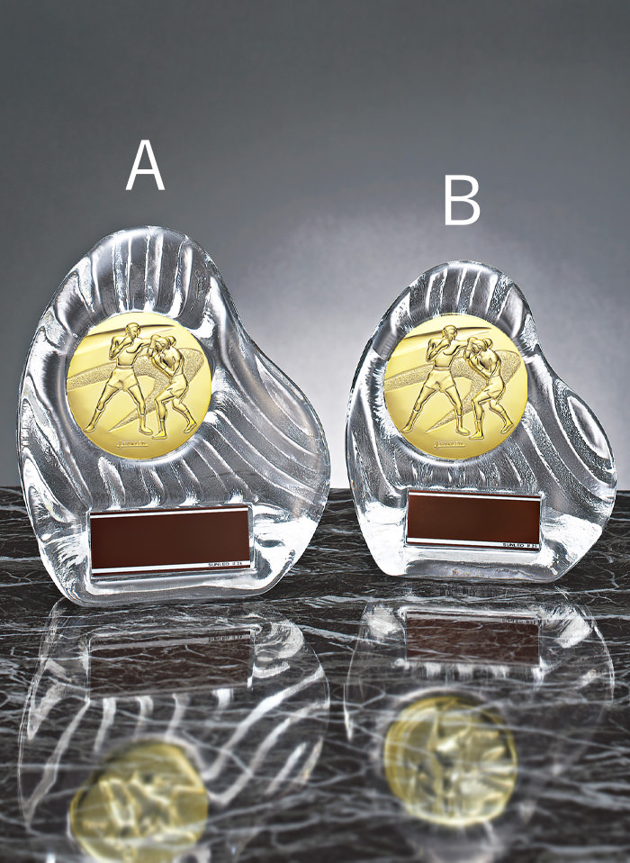 ボクシング用のガラス表彰楯 JS-YCZ-4956-boxing