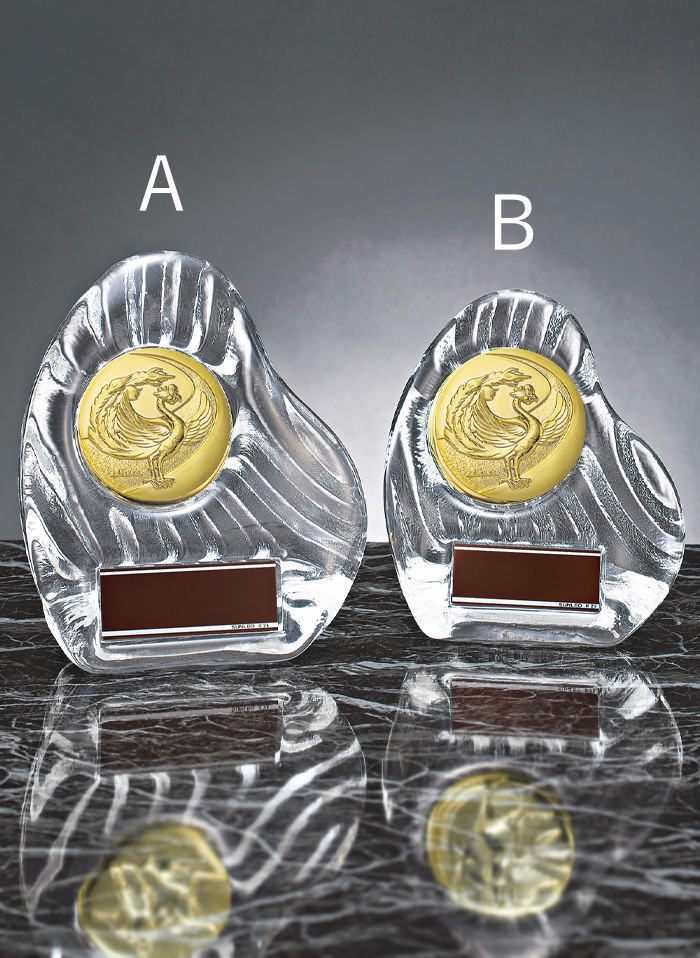 品評会表彰用のおしゃれなガラス楯 JS-YCZ-4956-fair