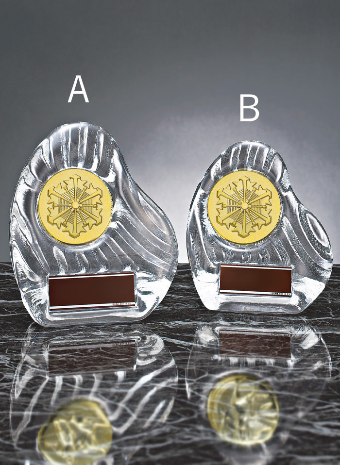 消防隊・消防団用の低価格ガラス楯 JS-YCZ-4956-firefighting