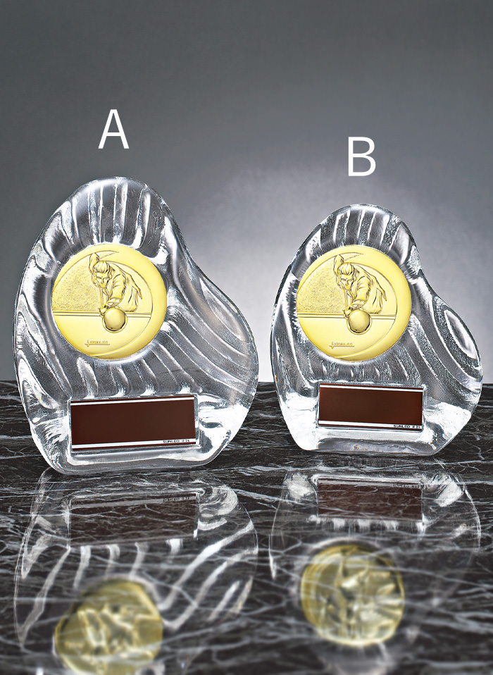 ビリヤードのクリスタル表彰楯 JS-YCZ-4956-hobby-other