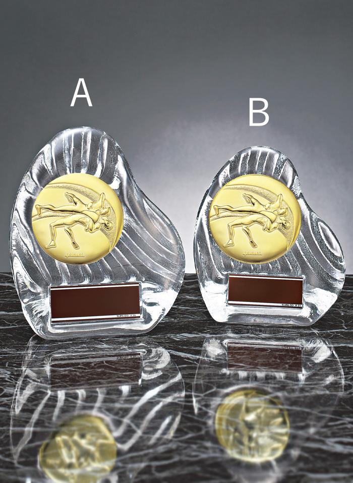 レスリング専用のクリスタル製表彰楯 JS-YCZ-4956-wrestling