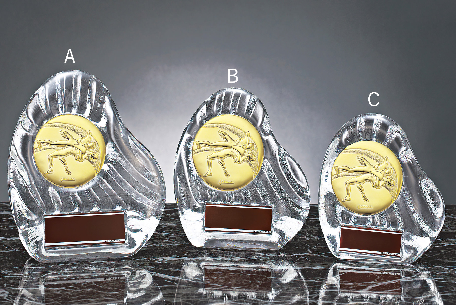 レスリング専用のクリスタル製表彰楯 JS-YCZ-4956-wrestling