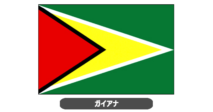 ガイアナ国旗・卓上旗 JT-K-flag-Guyana
