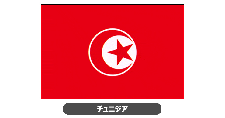 チュニジア国旗・卓上旗 JT-T-flag-Tunisia