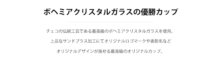 チェコの伝統工芸のボヘミアクリスタルを使用した最高級オリジナルカップ JW-EW-1133