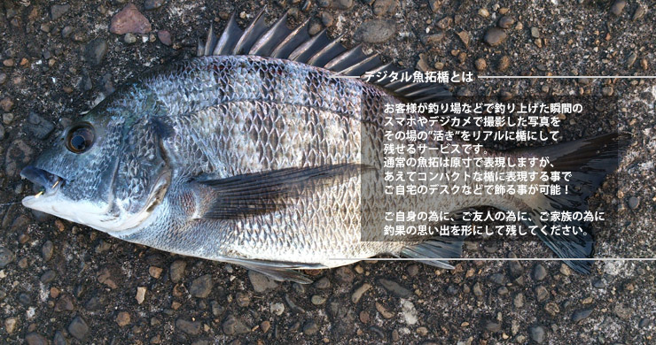 デジタル魚拓とは JW-JHU-7655