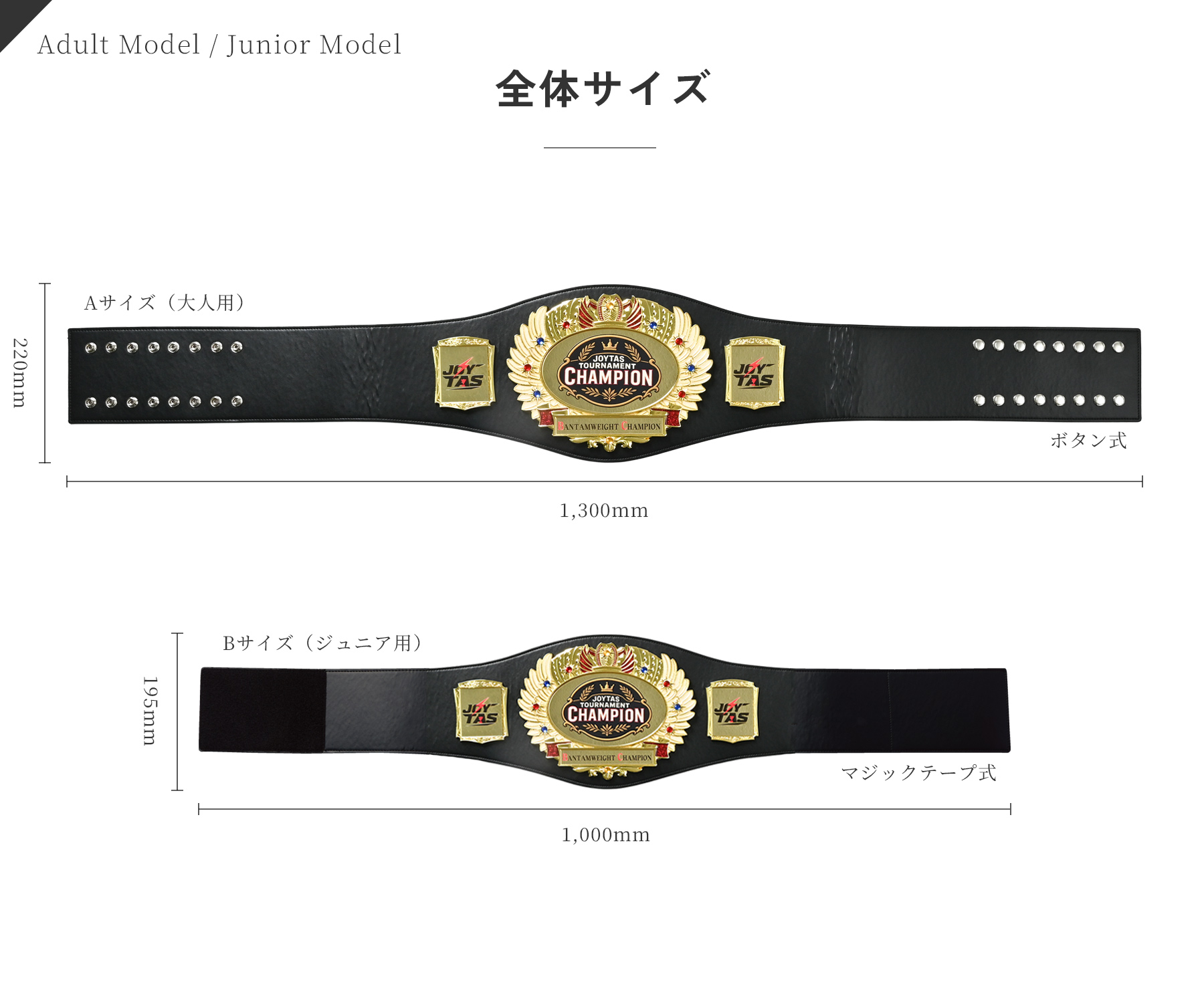 大人用チャンピオンベルトのサイズ JW-JST-250