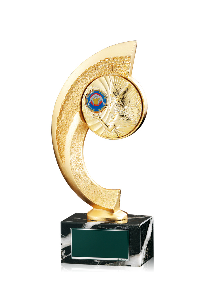 レスリング大会でおすすめのコンパクトトロフィー　JW-RB-6080-wrestling