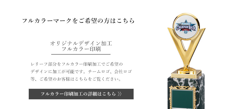 本体オリジナル加工（フルカラー）　JW-RB-6099