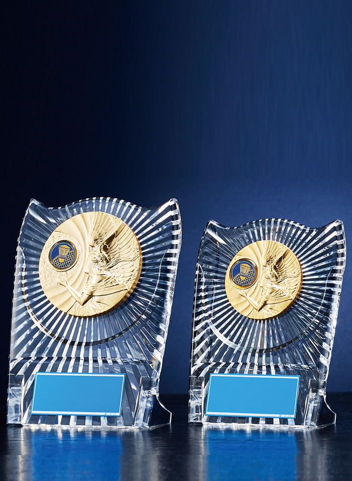 バドミントン用アクリル表彰楯　JW-RS-6083-badminton