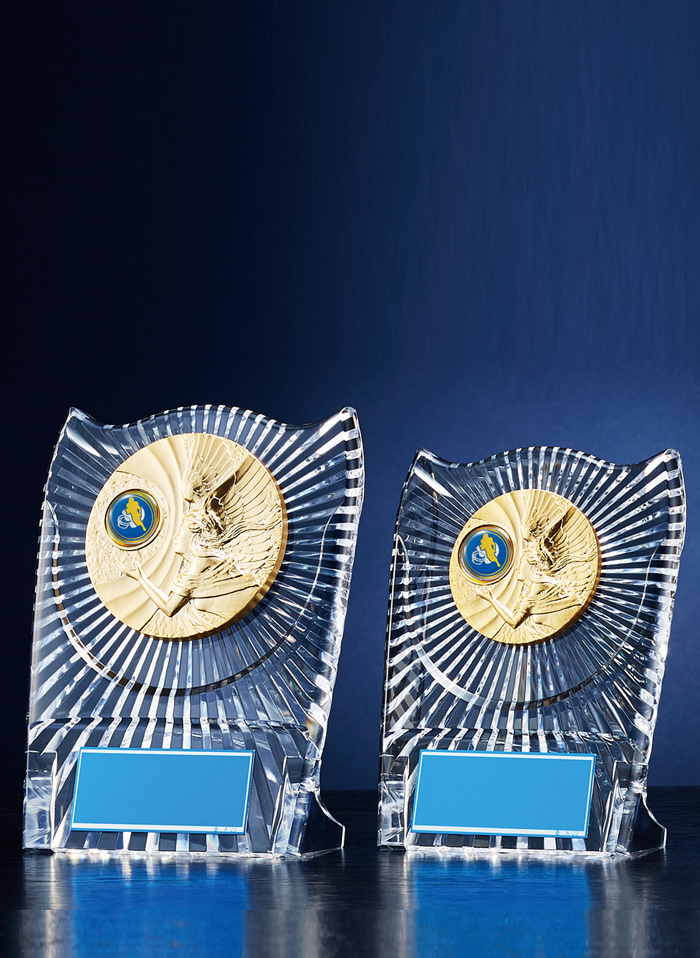 ラグビー・アメフト・ハンドボールの低価格アクリル楯 JW-RS-6083-ball-other