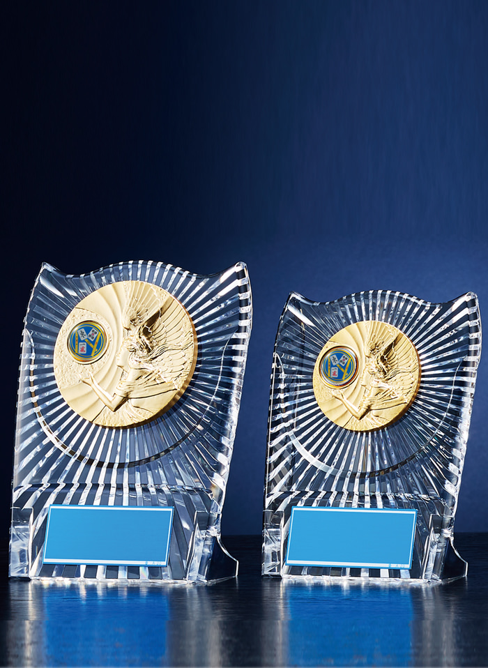 麻雀用アクリル楯　JW-RS-6083-mahjong