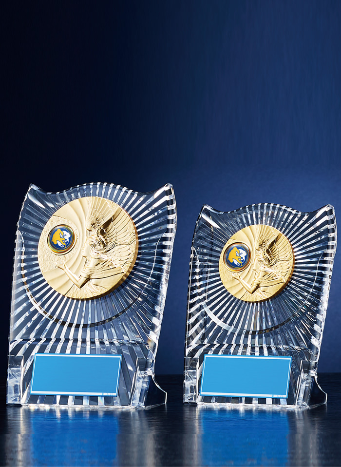 スケートマークのアクリル製の女神表彰楯 JW-RS-6083-skate