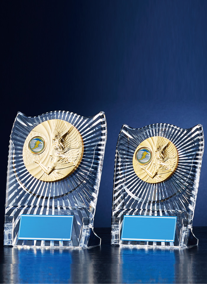 格安価格のスノーボードアクリル製表彰楯 JW-RS-6083-snowboard