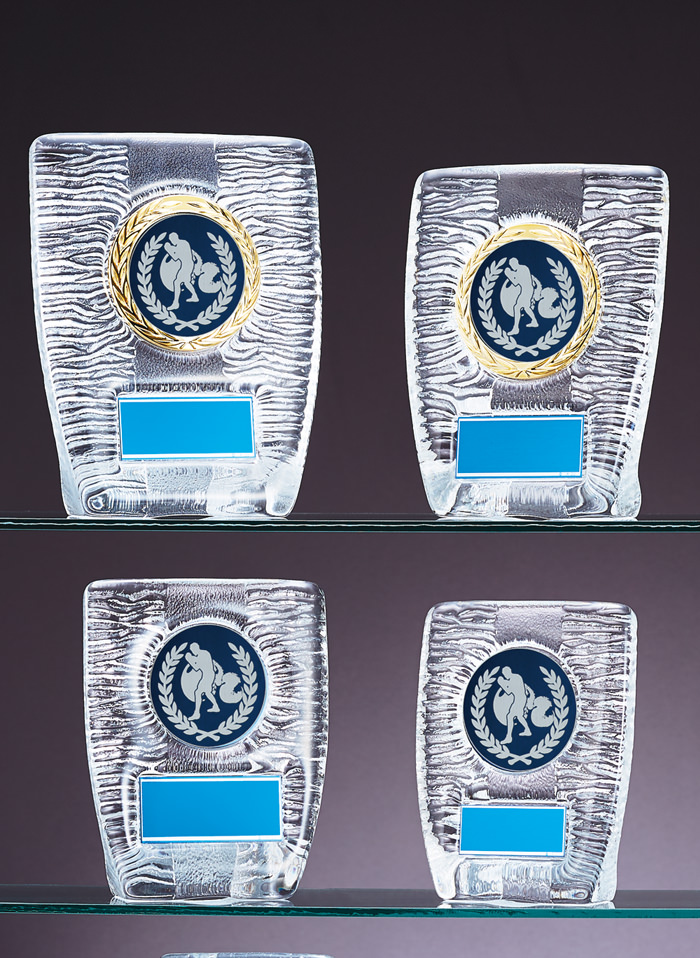 低価格でも製作できるボクシング用ガラス表彰楯 JW-RS-6087-boxing