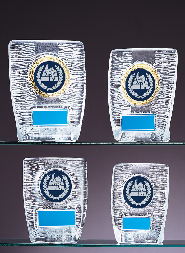 ガラス製の柔道専用表彰楯 JW-RS-6087-judo