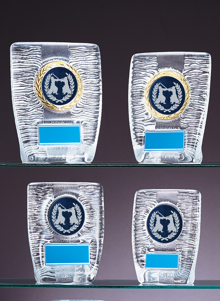 格安価格から製作できる剣道ガラス楯 JW-RS-6087-kendo