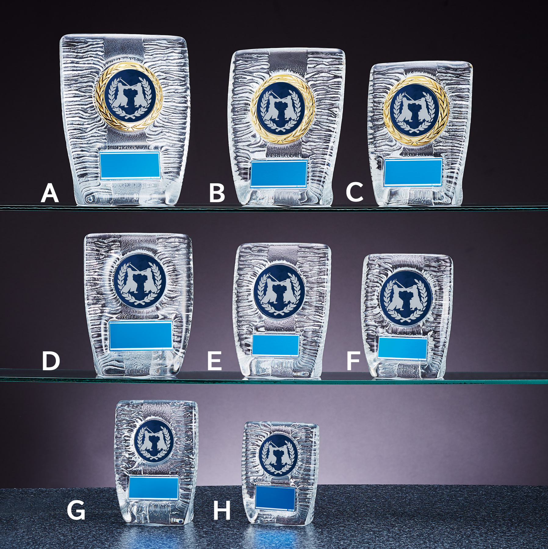 格安価格から製作できる剣道ガラス楯 JW-RS-6087-kendo