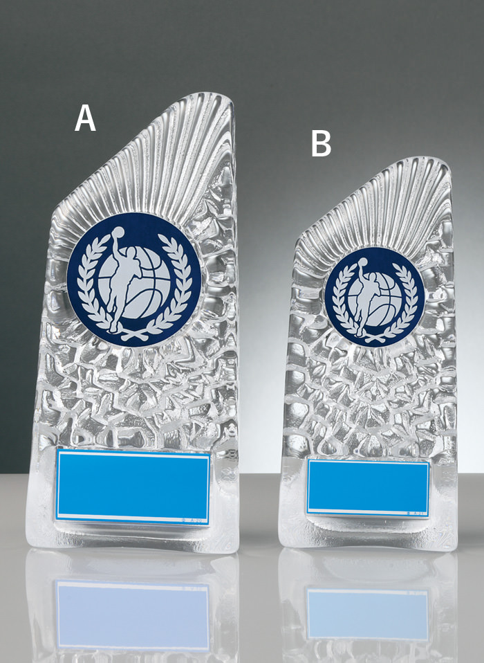 バスケットボール用ガラス楯 JW-RS-6088-basketball