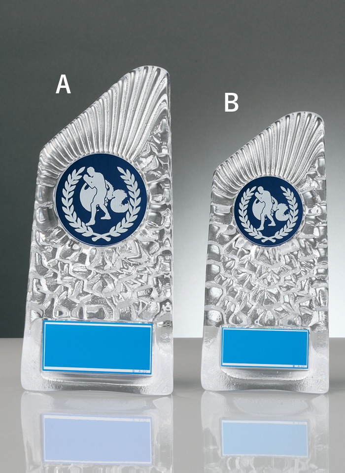 JW-RS-6088-boxing ボクシング専用の種目取替えが可能なガラス製表彰楯