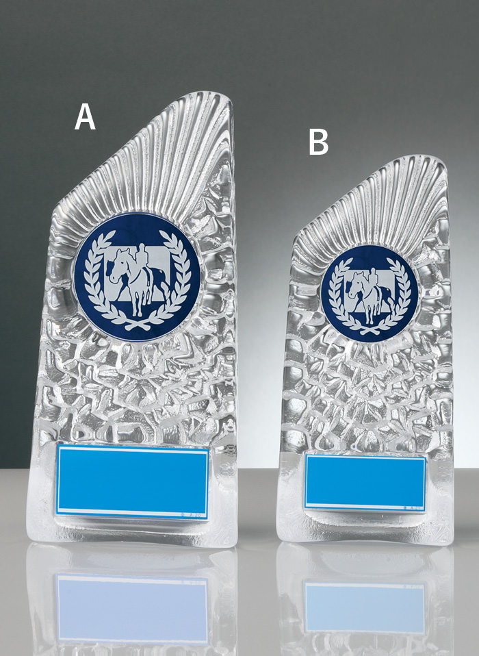 乗馬・競馬用ガラス製楯 JW-RS-6088-horseriding