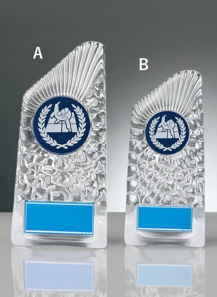 JW-RS-6088-judo 柔道専用の種目取替えが可能なガラス製表彰楯