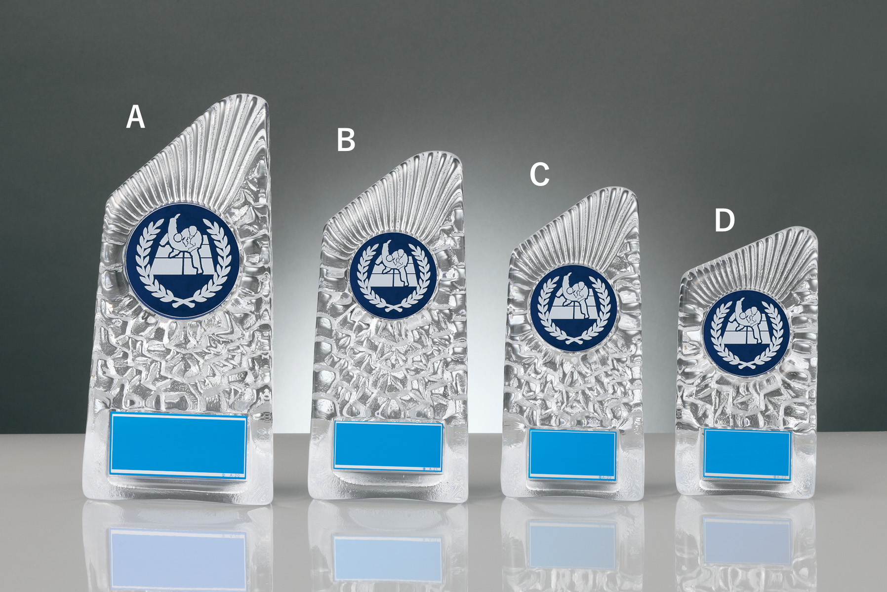 JW-RS-6088-judo 柔道専用の種目取替えが可能なガラス製表彰楯